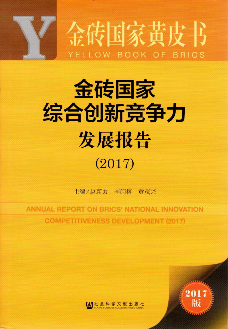 www.逼逼视频金砖国家综合创新竞争力发展报告（2017）